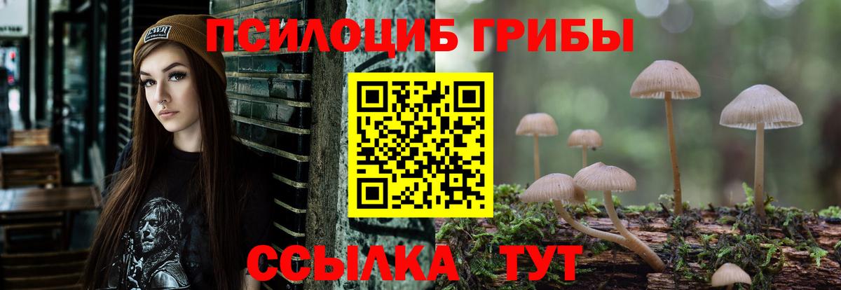 Галлюциногенные грибы Magic Shrooms  Вход с VPN  Кыштым 